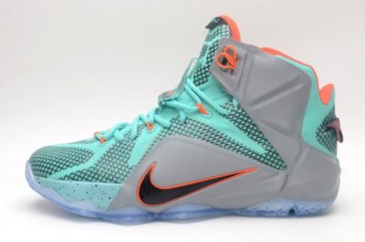 Nike LeBron James 12 Basketball shoes
