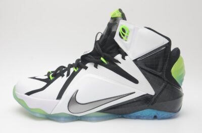 Nike LeBron James 12 Basketball shoes