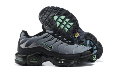 Nike Air Max Plus Tn （40-46）
