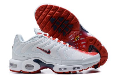 Nike Air Max Plus Tn （40-46）