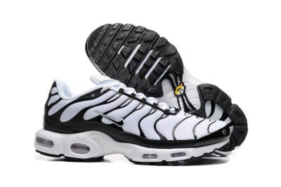 Nike Air Max Plus Tn （40-46）