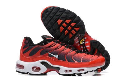Nike Air Max Plus Tn （40-46）