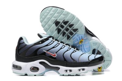 Nike Air Max Plus Tn （40-46）