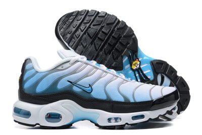 Nike Air Max Plus Tn （40-46）