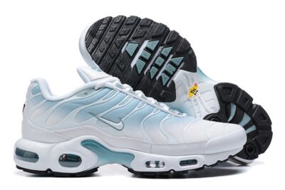 Nike Air Max Plus Tn （40-46）