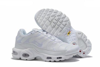 Nike Air Max Plus Tn （40-46）
