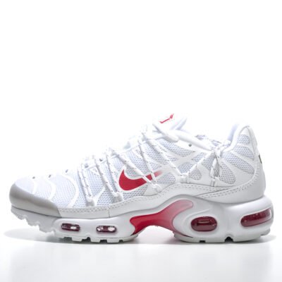 NIKE AIR MAX PLUS TN 2
