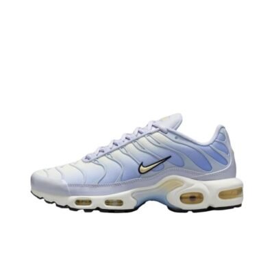 Nike Air Max Plus Tn （40-46）